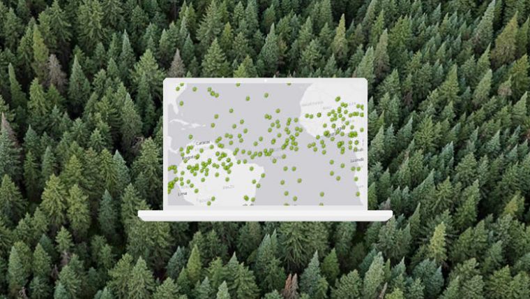 Esri Partners with 3LOG Systems for Forest Management Location Intelligence