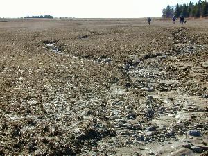 Creating Digital Surface Models