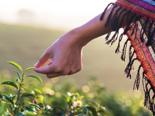 Major International Donors Fund New Cadasta Projects