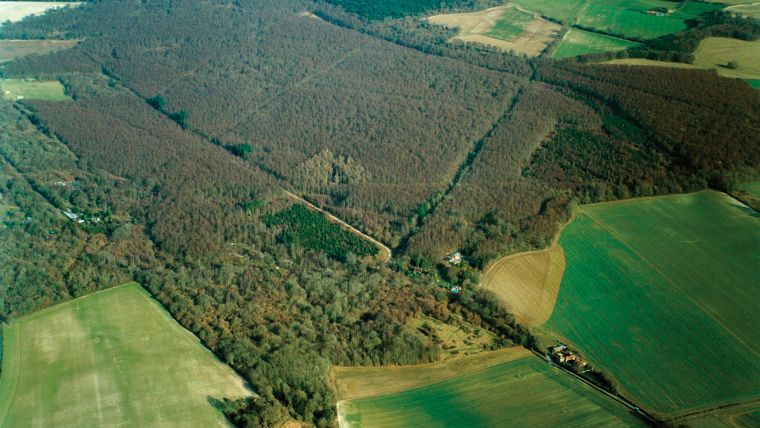 Lidar Reveals Lost Roman Road from Chichester to Arundel