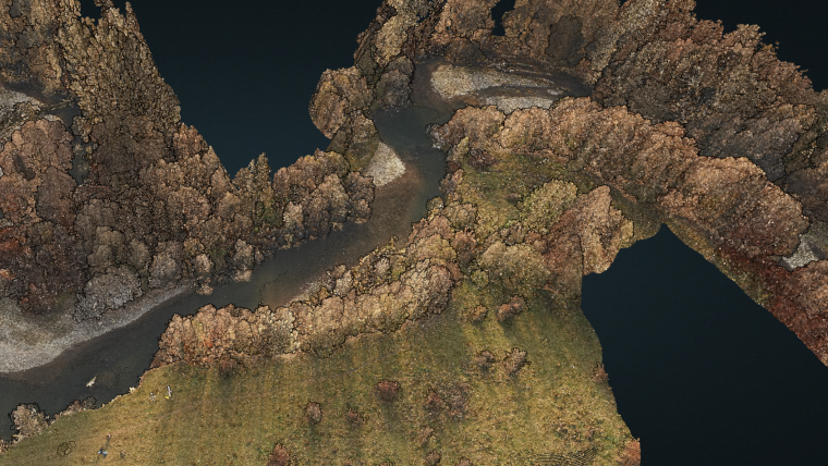 UAV传播的topobathymetric Lidar的水下枯草和植被